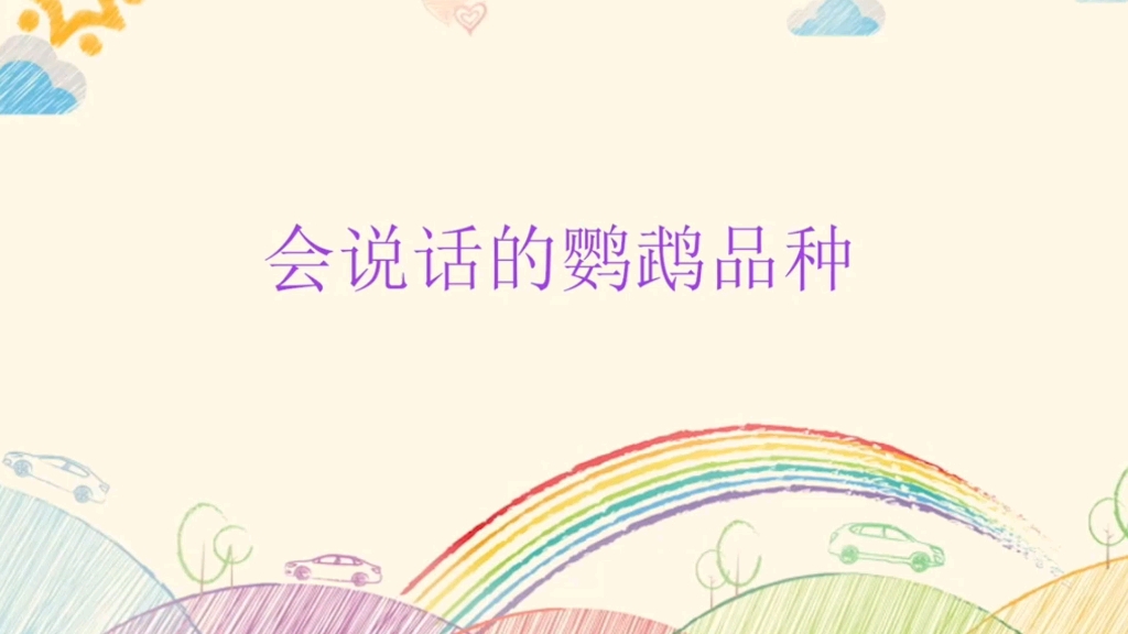 会说话的鹦鹉品种哔哩哔哩bilibili