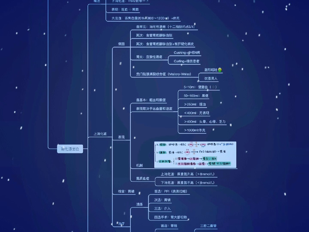 消化系统⇨消化道出血(知识卡片)哔哩哔哩bilibili