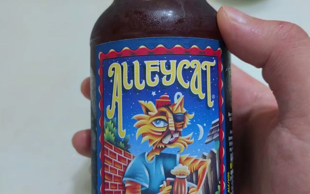 迷失海岸小野猫琥珀艾尔