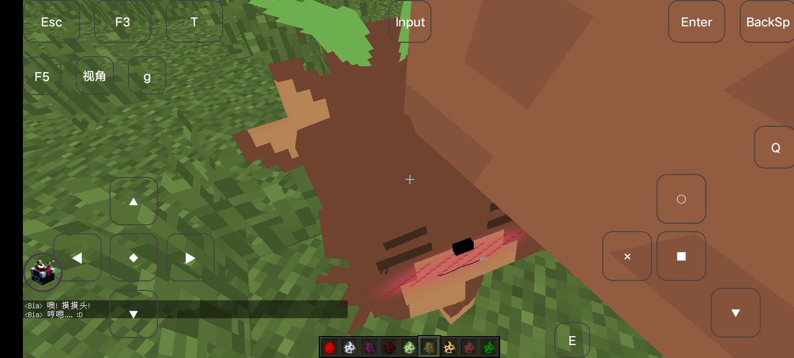 我的世界jenny mod