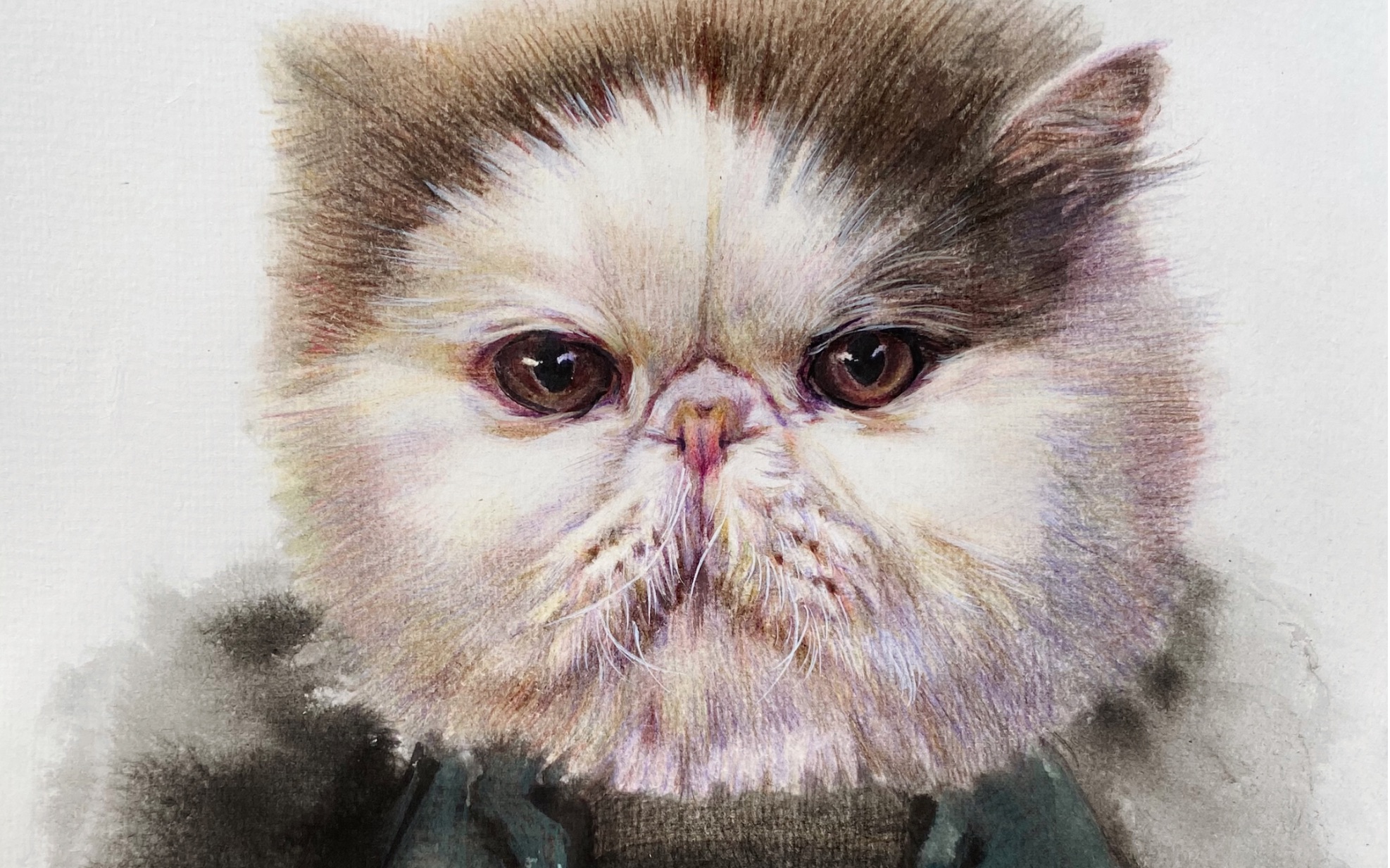 彩铅加菲猫(二)