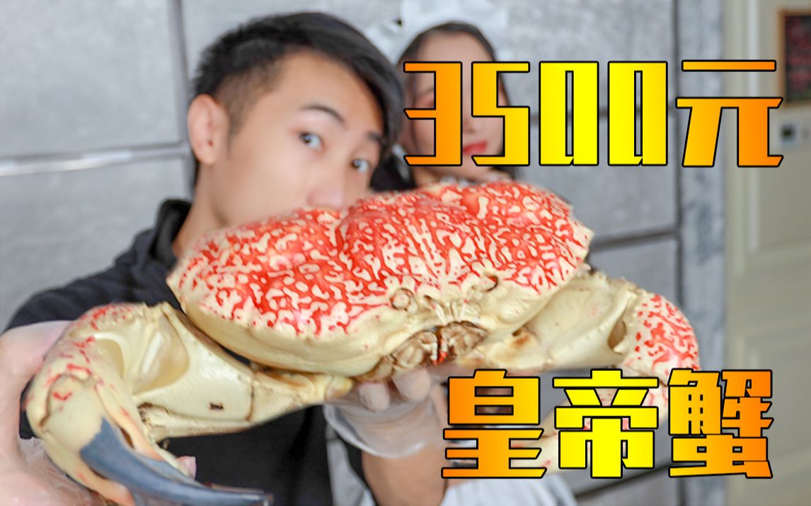 试吃3500元一只的皇帝蟹!满满的蟹黄——视角姬vlog哔哩哔哩bilibili