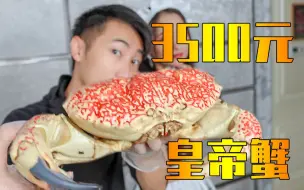 下载视频: 试吃3500元一只的皇帝蟹！满满的蟹黄——视角姬vlog