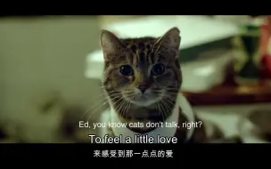 Download Video: 【中英字幕】Drunk—Ed Sheeran【官方MV】