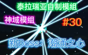 Download Video: 【泰拉瑞亚】（自制模组）神域#30：新Boss-潮涌之心