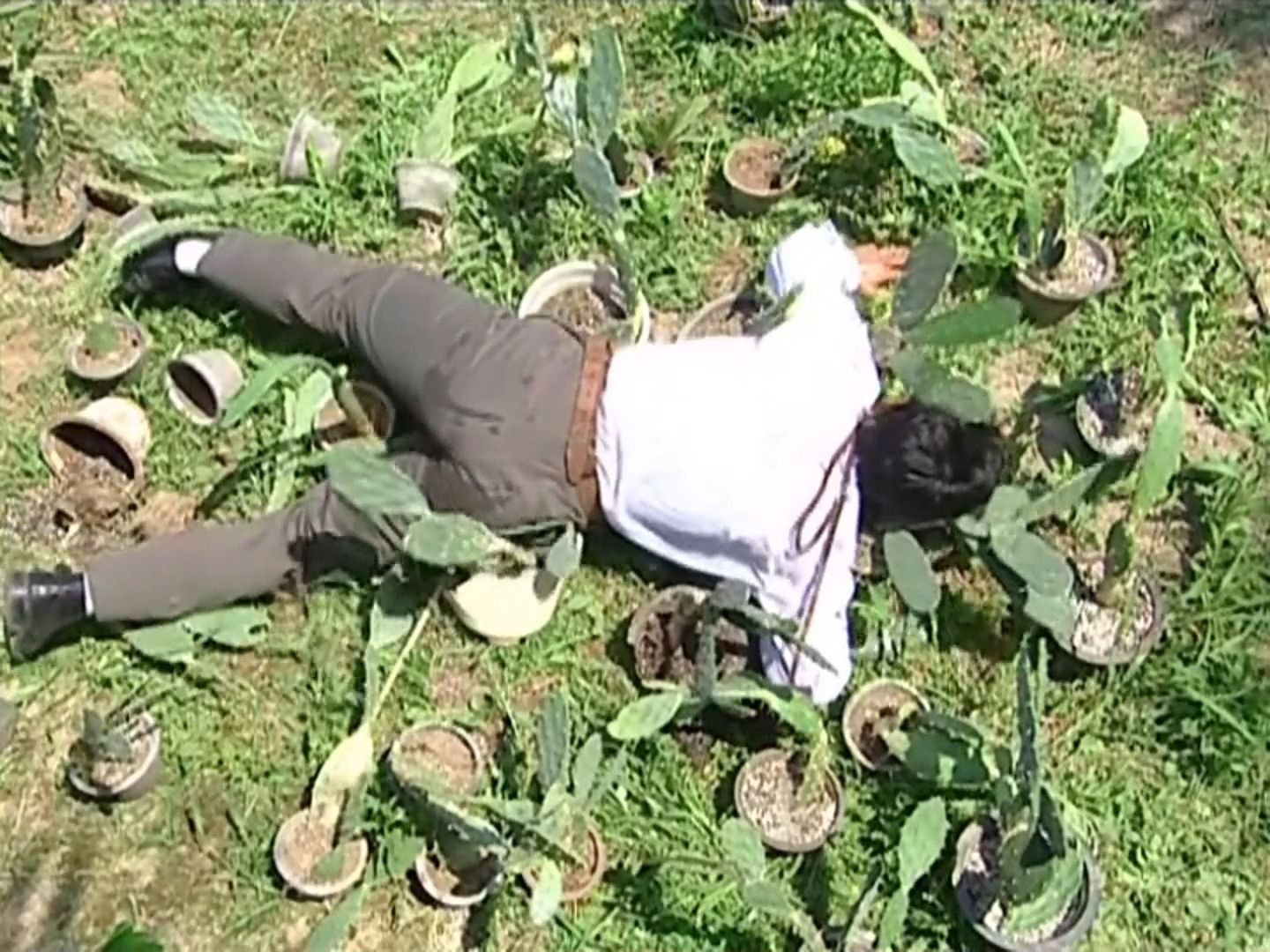 杜飞为救小女孩摔了一身仙人掌刺-情深深雨濛濛15-1