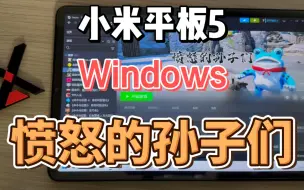 Скачать видео: 小米平板5 Windows 愤怒的孙子们