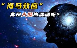 Descargar video: 你经历过海马效应吗，是大脑的漏洞还是另有原因？