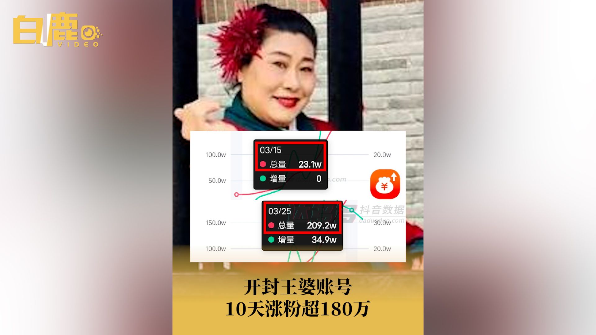 开封王婆账号10天涨粉超180万哔哩哔哩bilibili