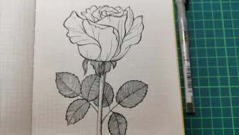 线描画鱼 哔哩哔哩 Bilibili