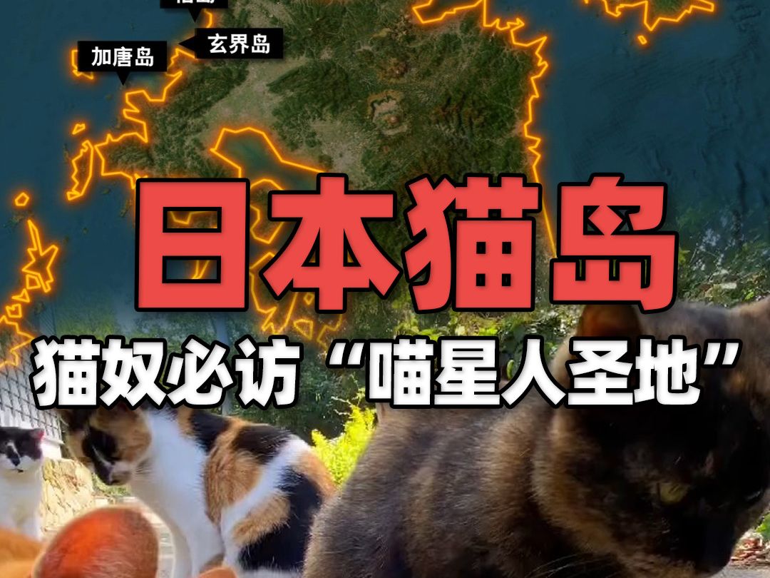 地图上看15个日本“猫岛”——猫奴必访“喵星人圣地”哔哩哔哩bilibili