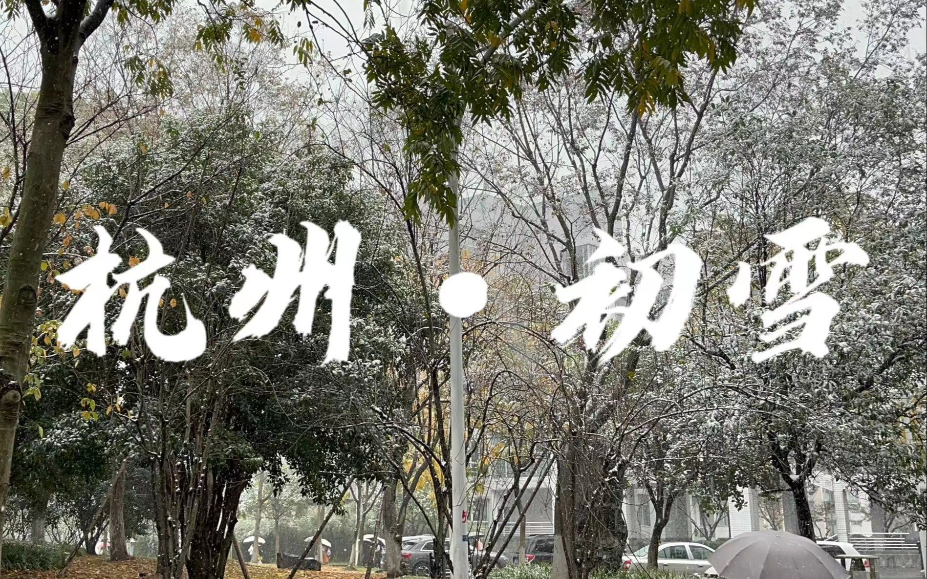 【杭州师范大学/下沙校区】杭州初雪!!!!!哔哩哔哩bilibili