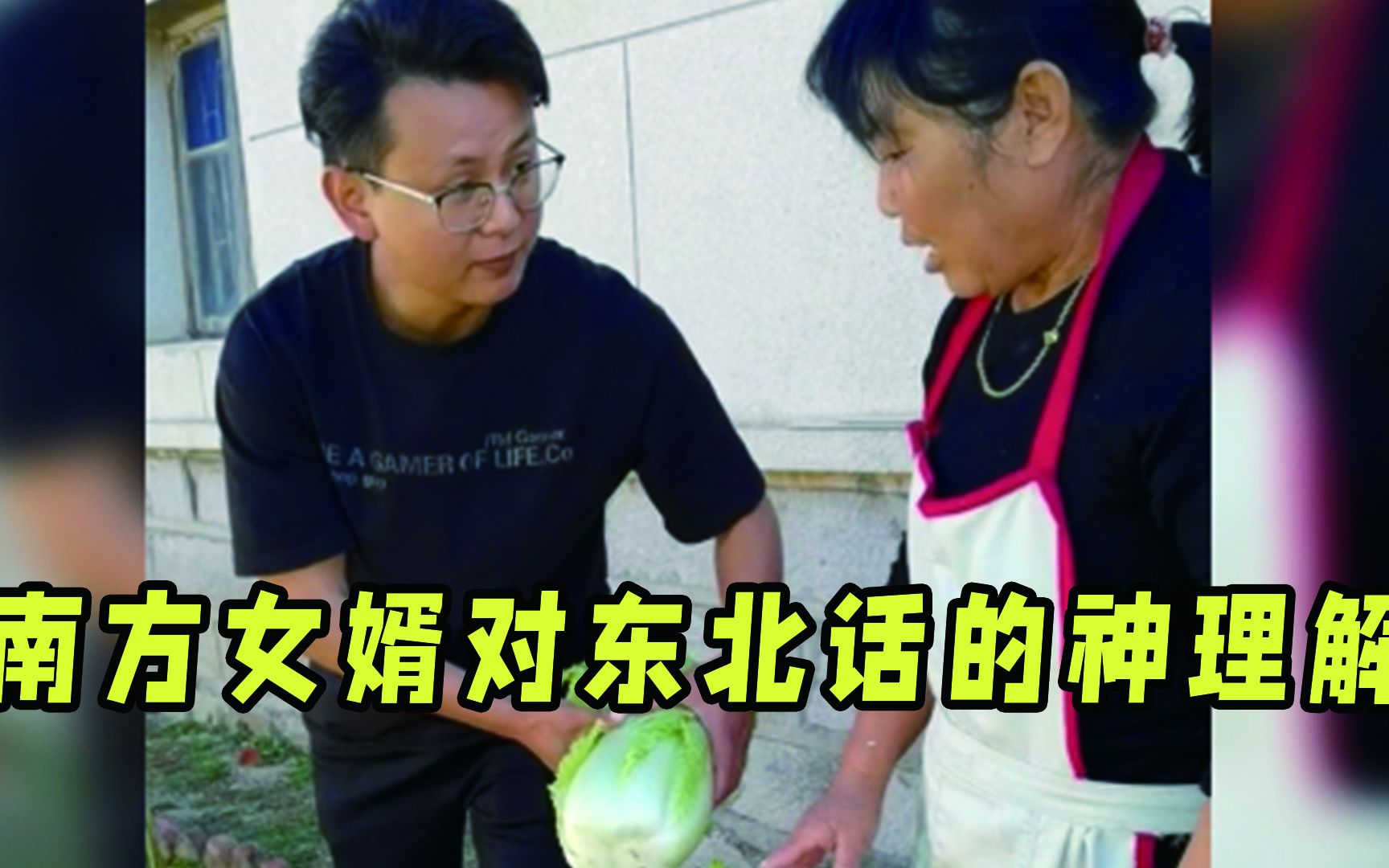 南方女婿对东北话的神级理解:东北语言博大精深,女婿听得一头雾水