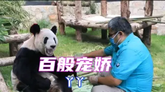 Video herunterladen: 北动更新丫丫最新视频，长公主被李奶爸喂成小胖猪,峰腰肥臀玉珠圆润的身材。网友:比古大爷胖了不少。