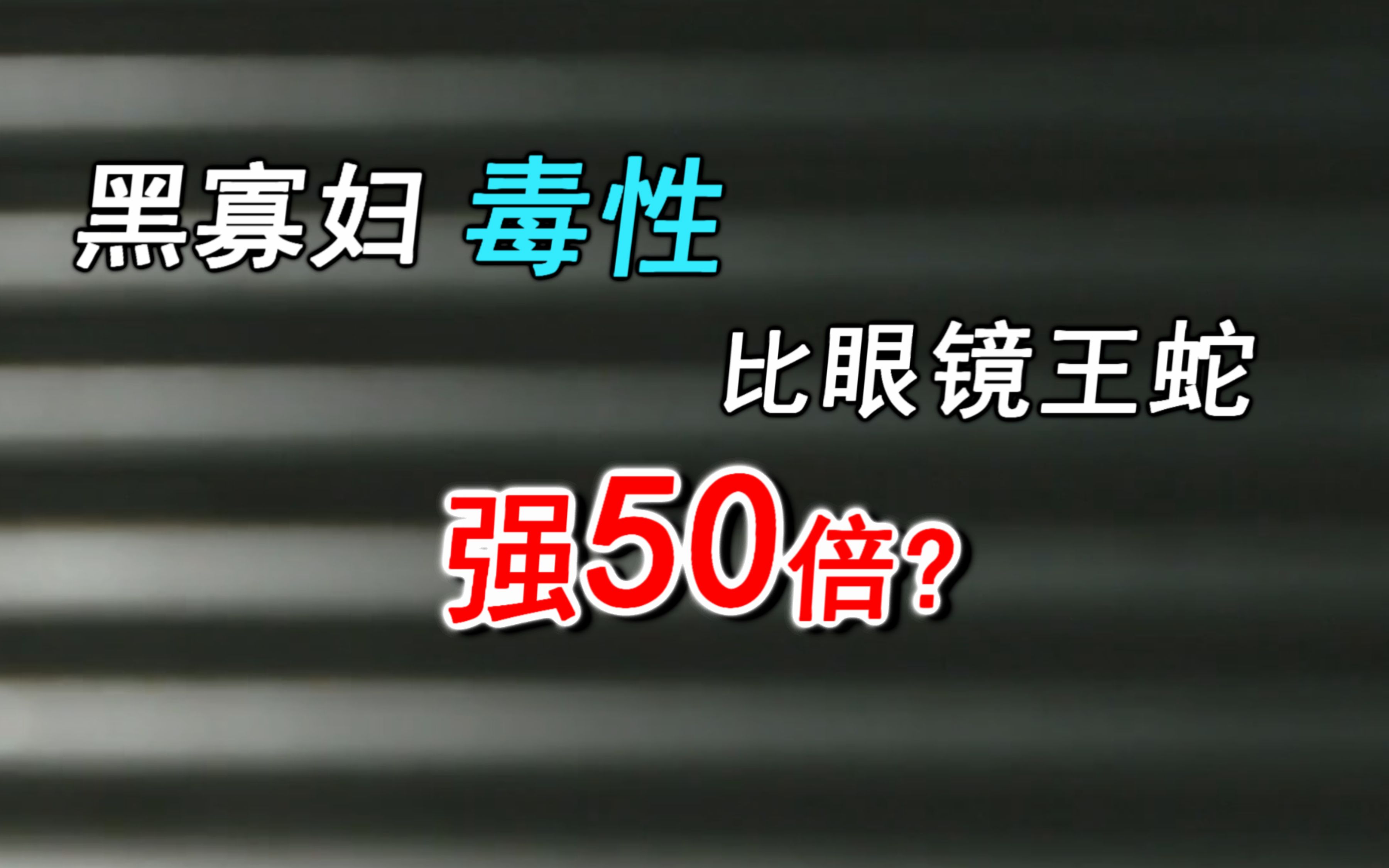 黑寡妇毒性比眼镜王蛇强50倍?哔哩哔哩bilibili