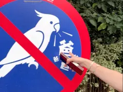 你自己说为什么！！！
