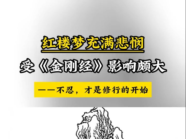 蒋勋 | 红楼梦充满悲悯,受金刚经影响颇大,不忍才是修行的开始!哔哩哔哩bilibili