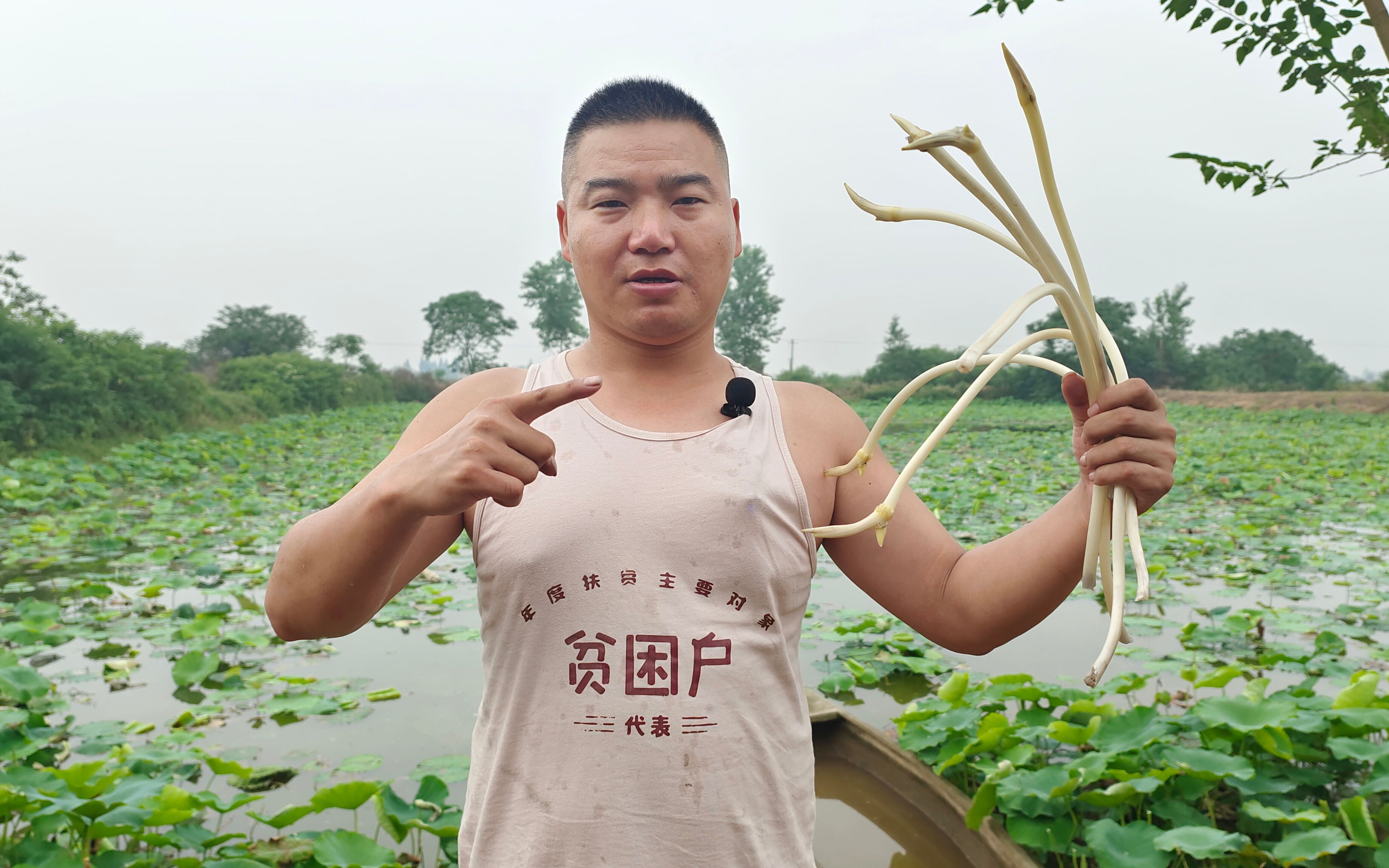 到几千亩的莲藕种植基地采摘藕尖,收获满满,咬一口鲜嫩多汁哔哩哔哩bilibili