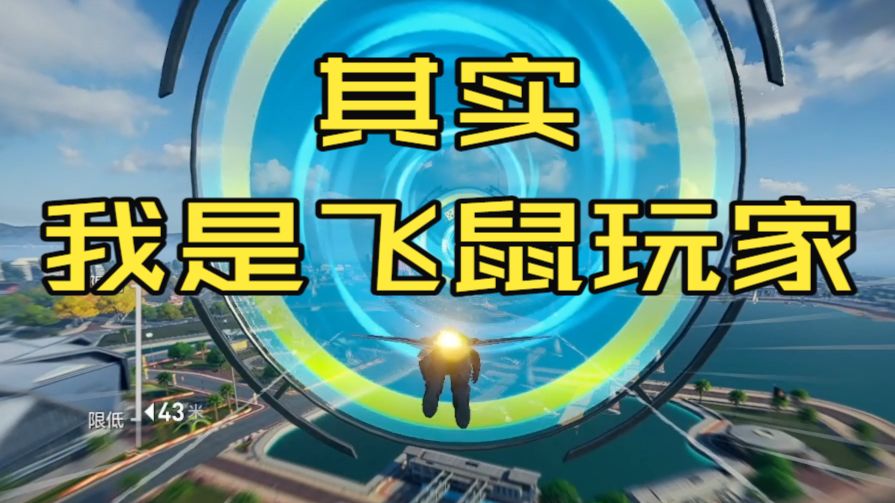 其实我是飞鼠玩家