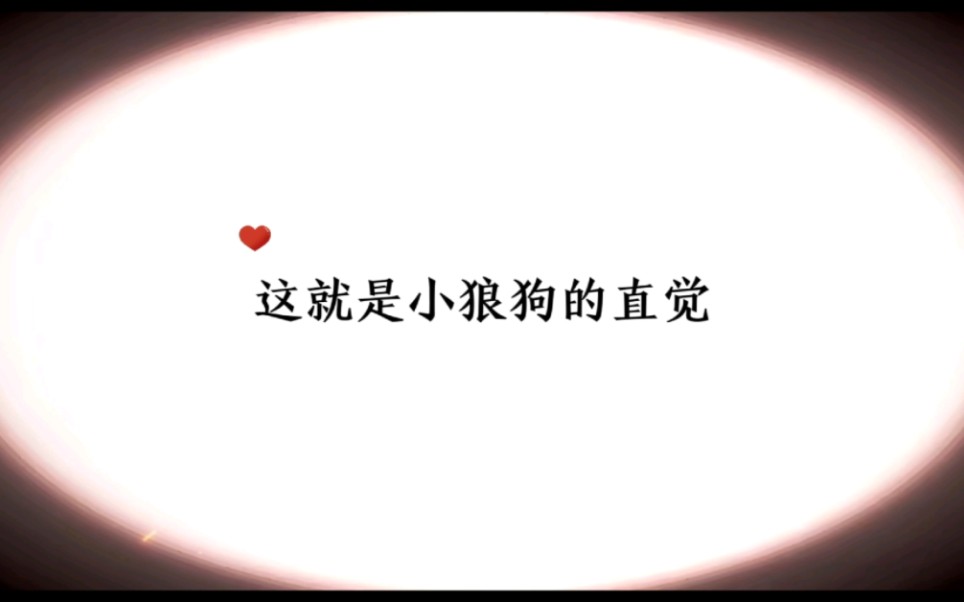 《针锋对决》哔哩哔哩bilibili