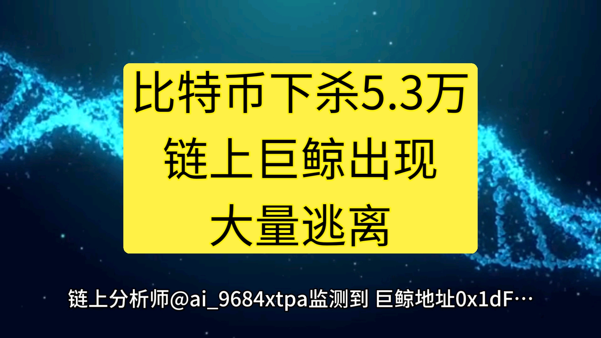 比特币下杀5.3万,链上巨鲸出现大量逃离,Blur创始人喊熊来了哔哩哔哩bilibili