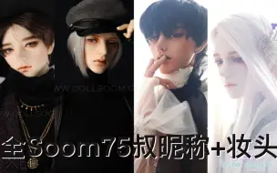 Download Video: 不知道入soom哪只bjd？一首歌带你看全部75soom叔