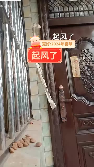 起风了哔哩哔哩bilibili