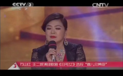 中央电视台《星光大道》2007年度总决赛"无冕之王"王二妮演绎歌剧