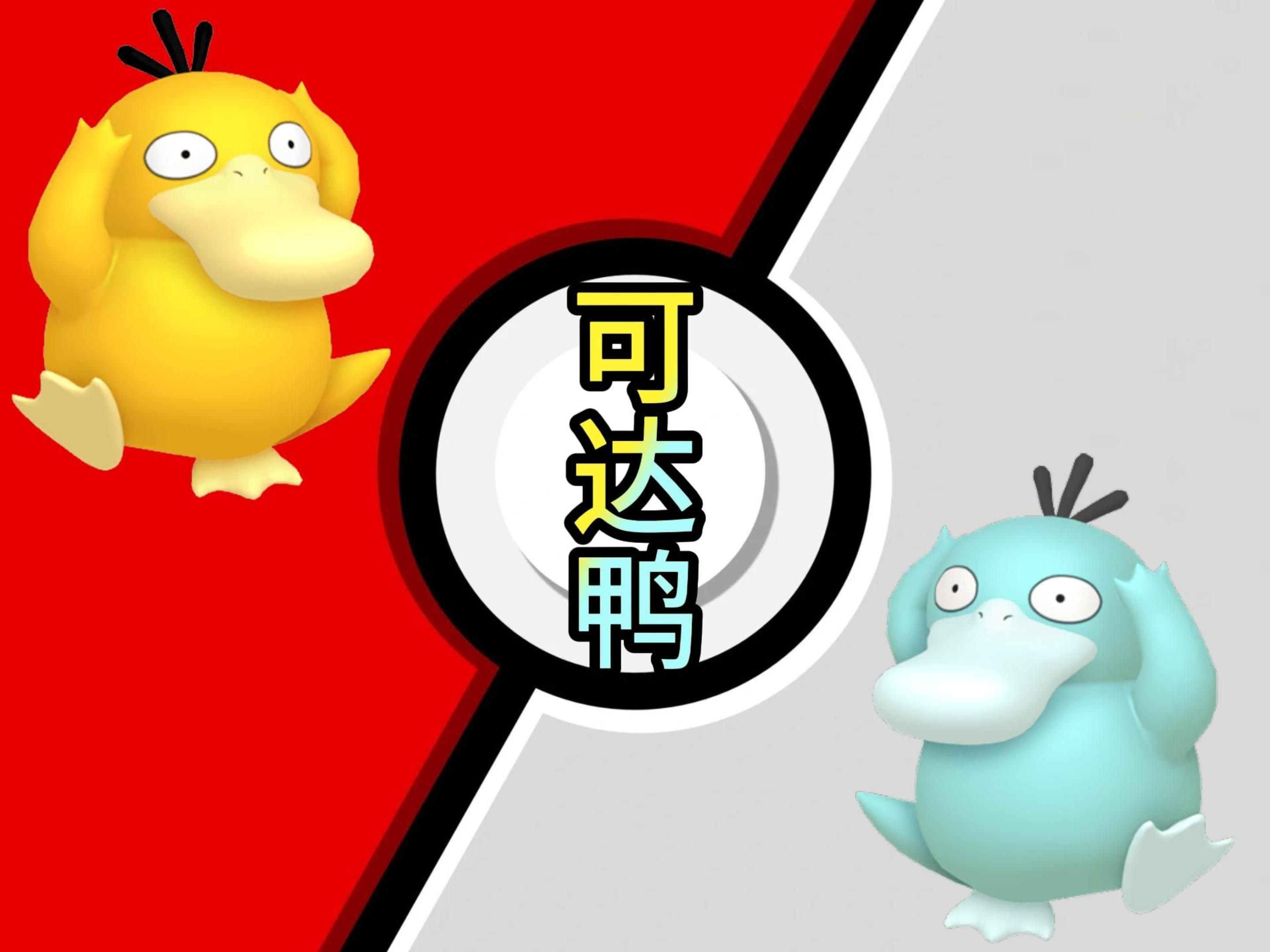 "大型"纪录片——《我闪可达鸭了》