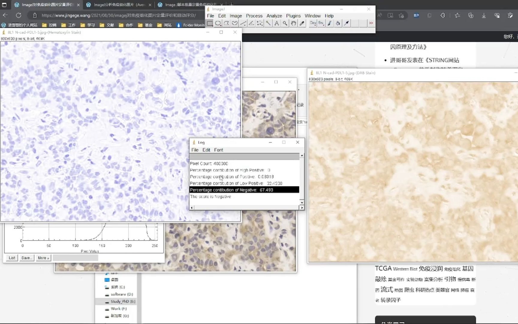 如何用ImageJ对免疫组化进行半定量分析(AOD计算&IHCprofiler)哔哩哔哩bilibili