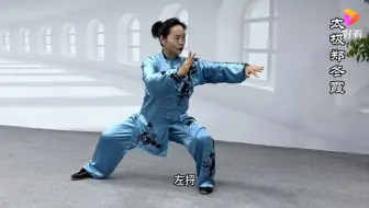 郑冬霞陈式太极拳老架一路（口令版）