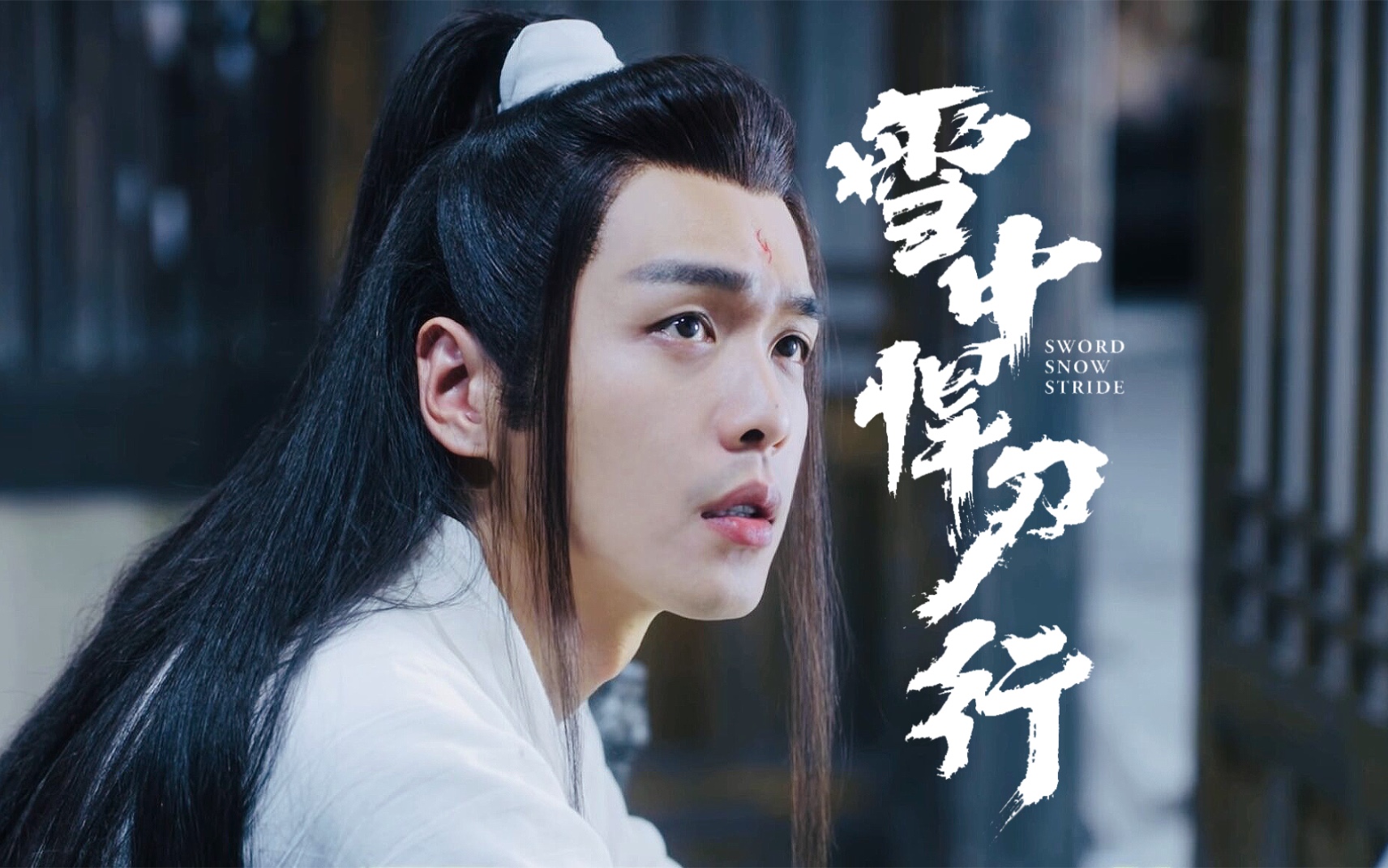 【张若昀 丨 徐凤年】燕无歇～怼脸舔屏个人向_哔哩哔哩_bilibili