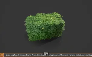 Download Video: 风格化草垛  草堆  Maya   Substance Designer