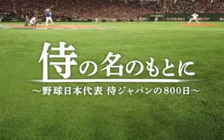 é‡Žçƒæ—¥æœ¬ä»£è¡¨ æœç´¢ç»