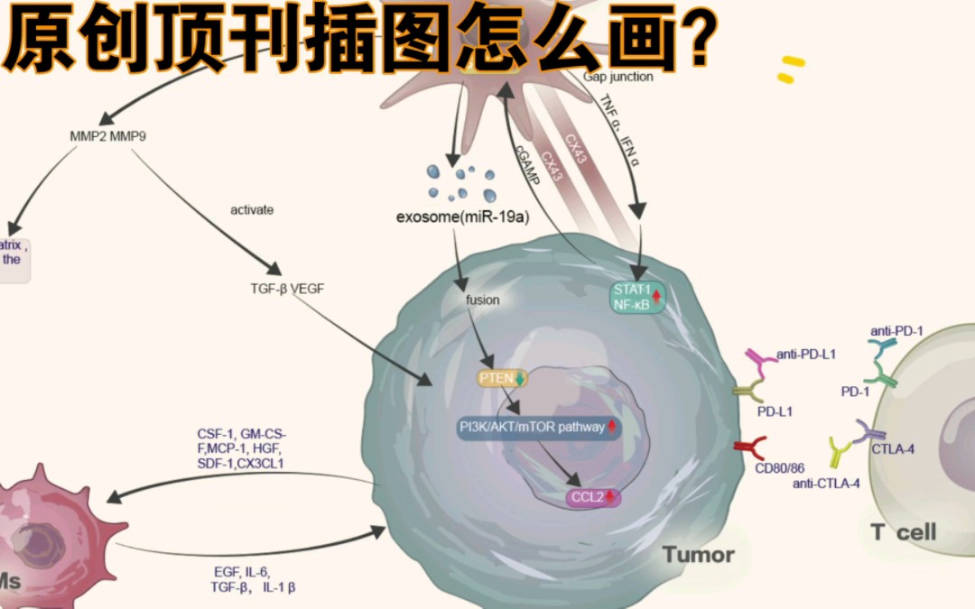 [图]科研绘图-用AI画顶刊插图，看我画图，给自己文章提升格调，往期案例重画，吸取经验自己动手画一张吧