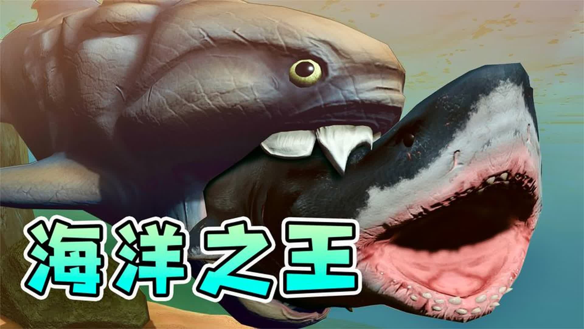 获取空投补给和资源