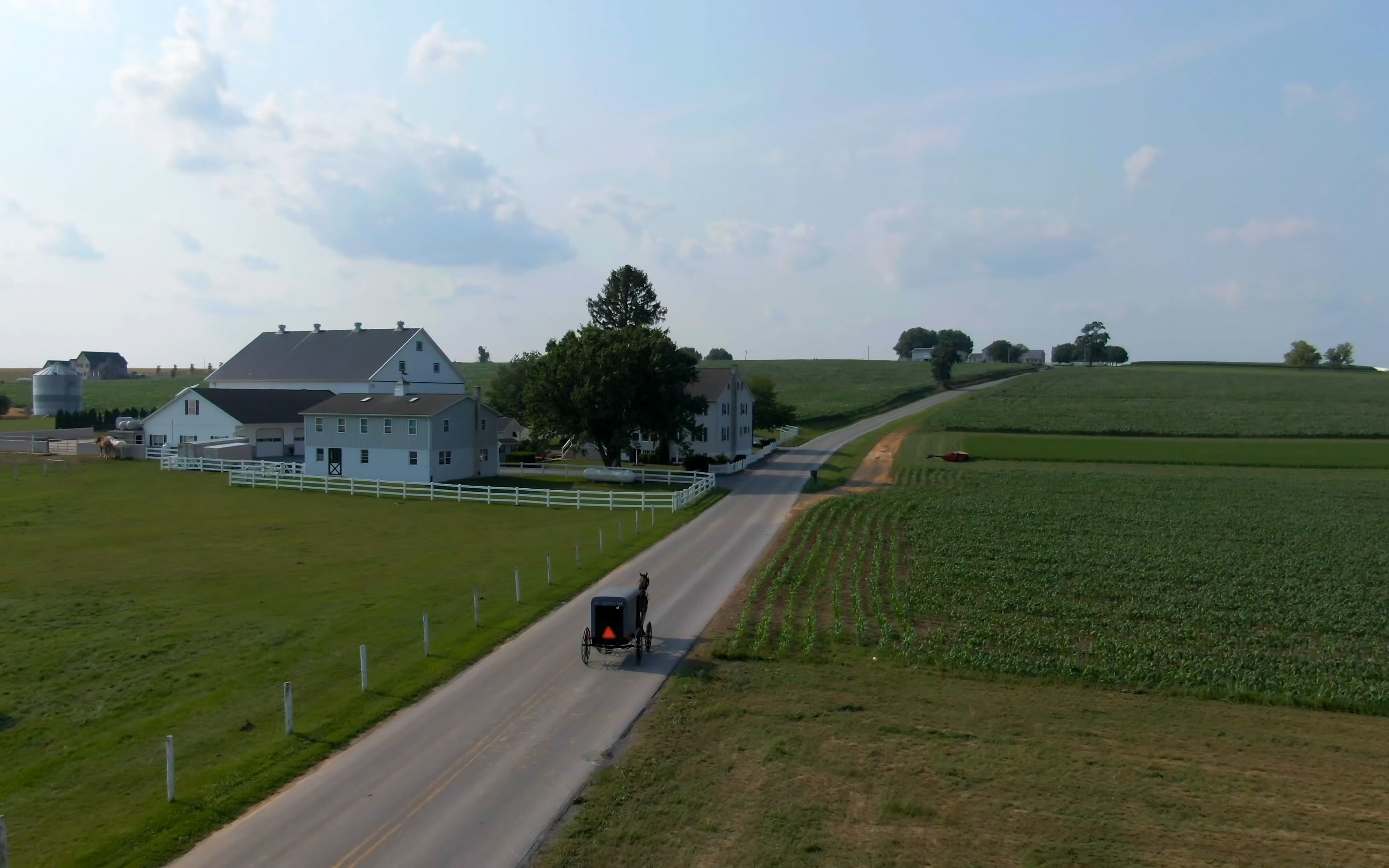 阿米什的恩典 - 资源合集 - 小不点搜索