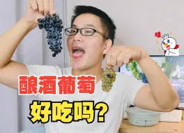 Download Video: 试吃宁夏的酿酒葡萄，味道超出我想象