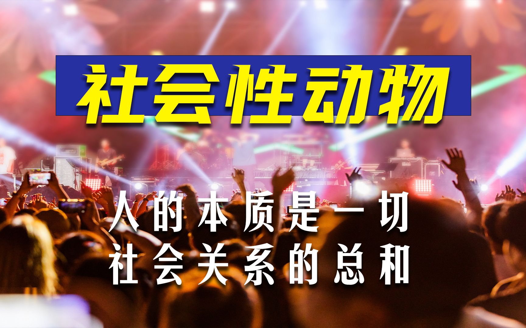 揭示当下社会现象的底层逻辑,解读当代社会心理学《社会性动物》哔哩哔哩bilibili