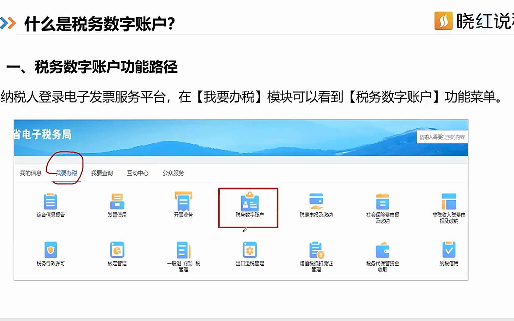 8、什么是税务数字账户?哔哩哔哩bilibili