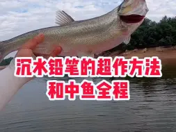 Download Video: 沉水铅笔的操作方法和中鱼过程