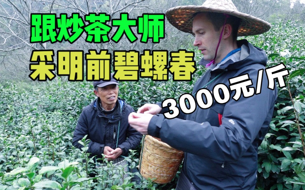 明前碧螺春卖3000元/斤算贵吗?老外体验完采茶和炒茶,感觉值这个价!(上集)哔哩哔哩bilibili