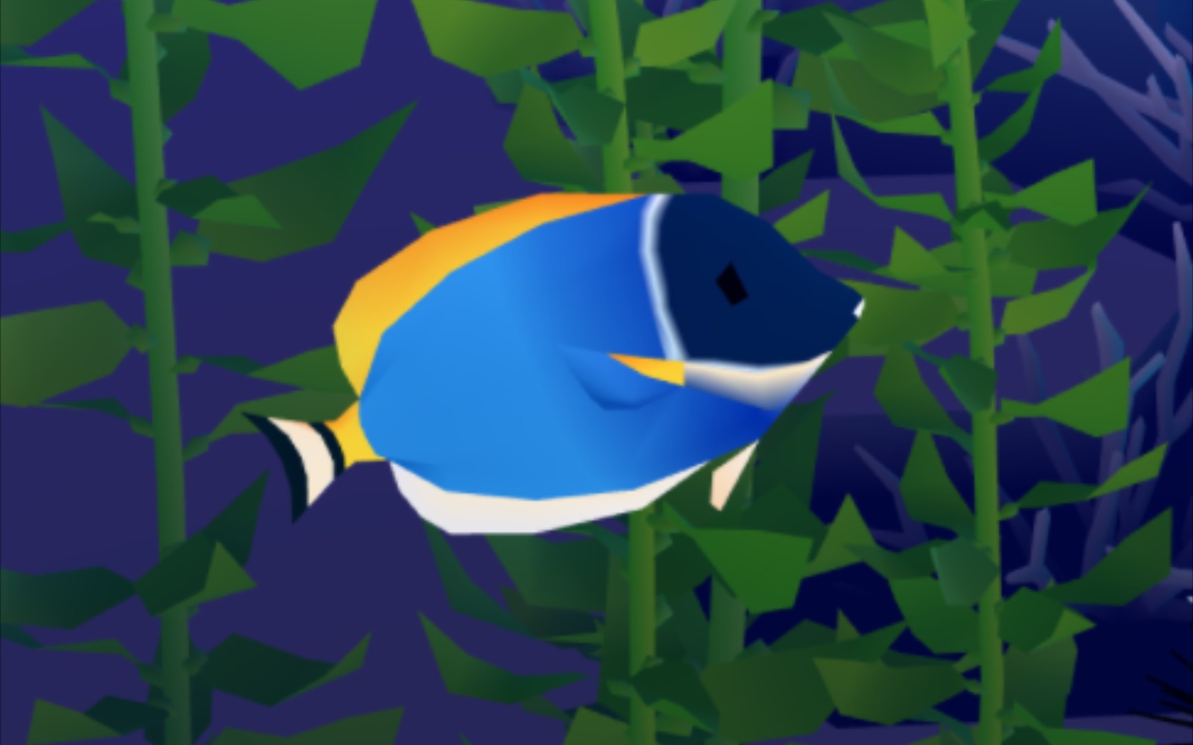 【深海水族馆】蓝刺尾鱼