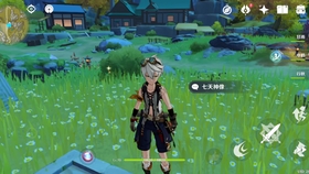 原神清心 琉璃袋 霓裳花购买地点 哔哩哔哩 つロ干杯 Bilibili