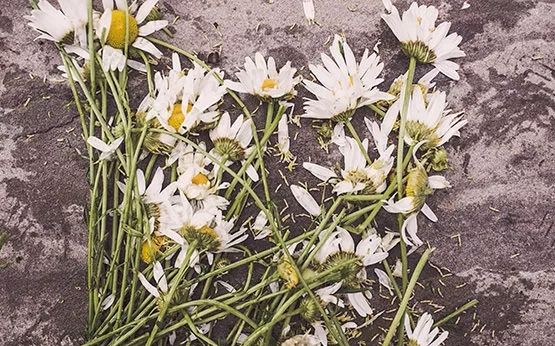 日语学习零基础入门课程之【海贼王】给你送去宾克斯的美酒,海贼的