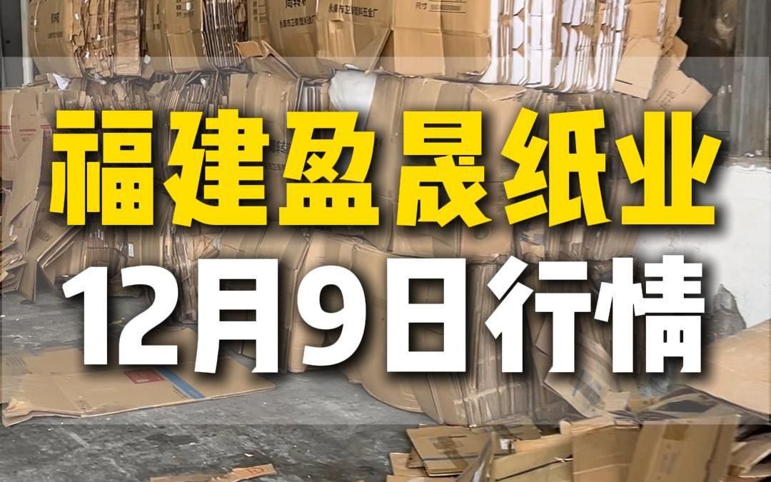 12月9日福建漳州盈晟纸业今日行情参考哔哩哔哩bilibili