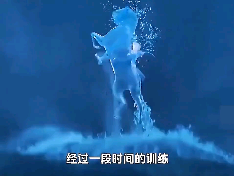 冰雪奇缘2里的片段