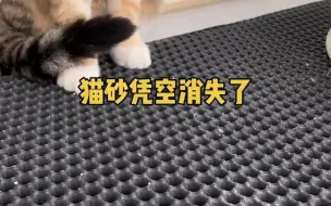 Download Video: 养猫人的必备漏砂垫，终于不用一会一扫地了，还能节省猫砂，赶快安排吧！