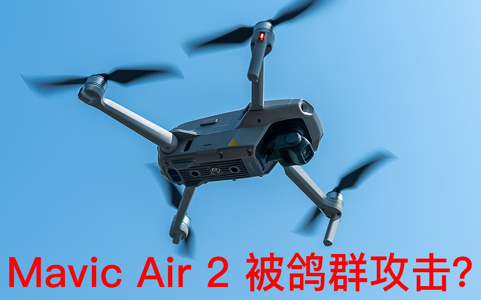 DJI Mavic air 2无人机降落时被鸽群攻击哔哩哔哩bilibili