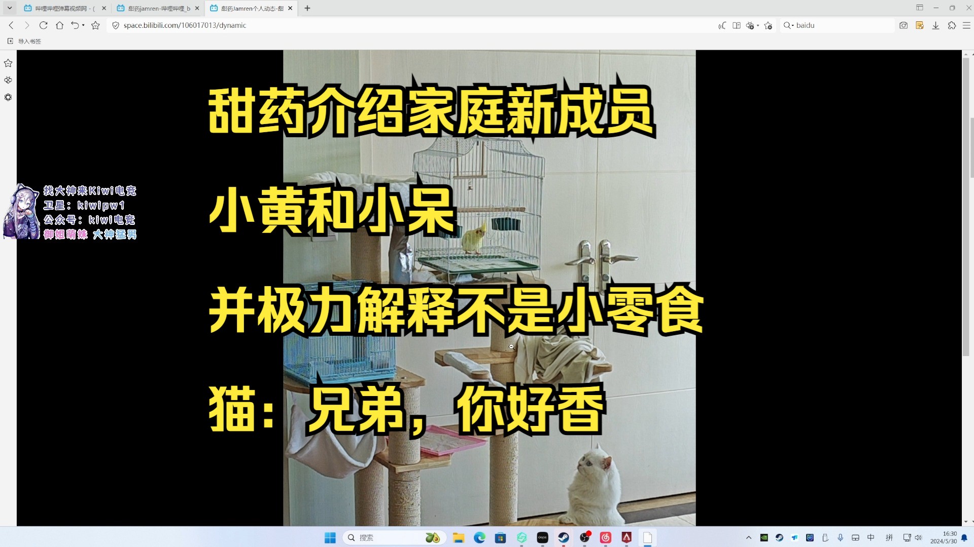 【甜药】甜药介绍家庭新成员 小黄和小呆 并极力解释不是小零食 猫:兄弟,你好香哔哩哔哩bilibiliAPEX英雄